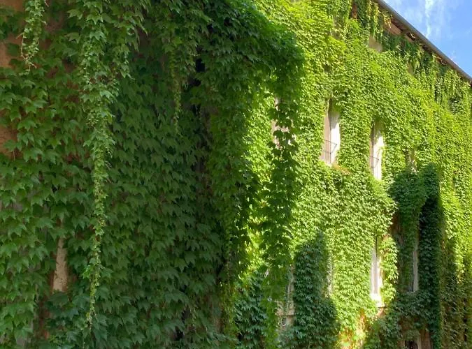 Navona Relais - Center Of Appartement